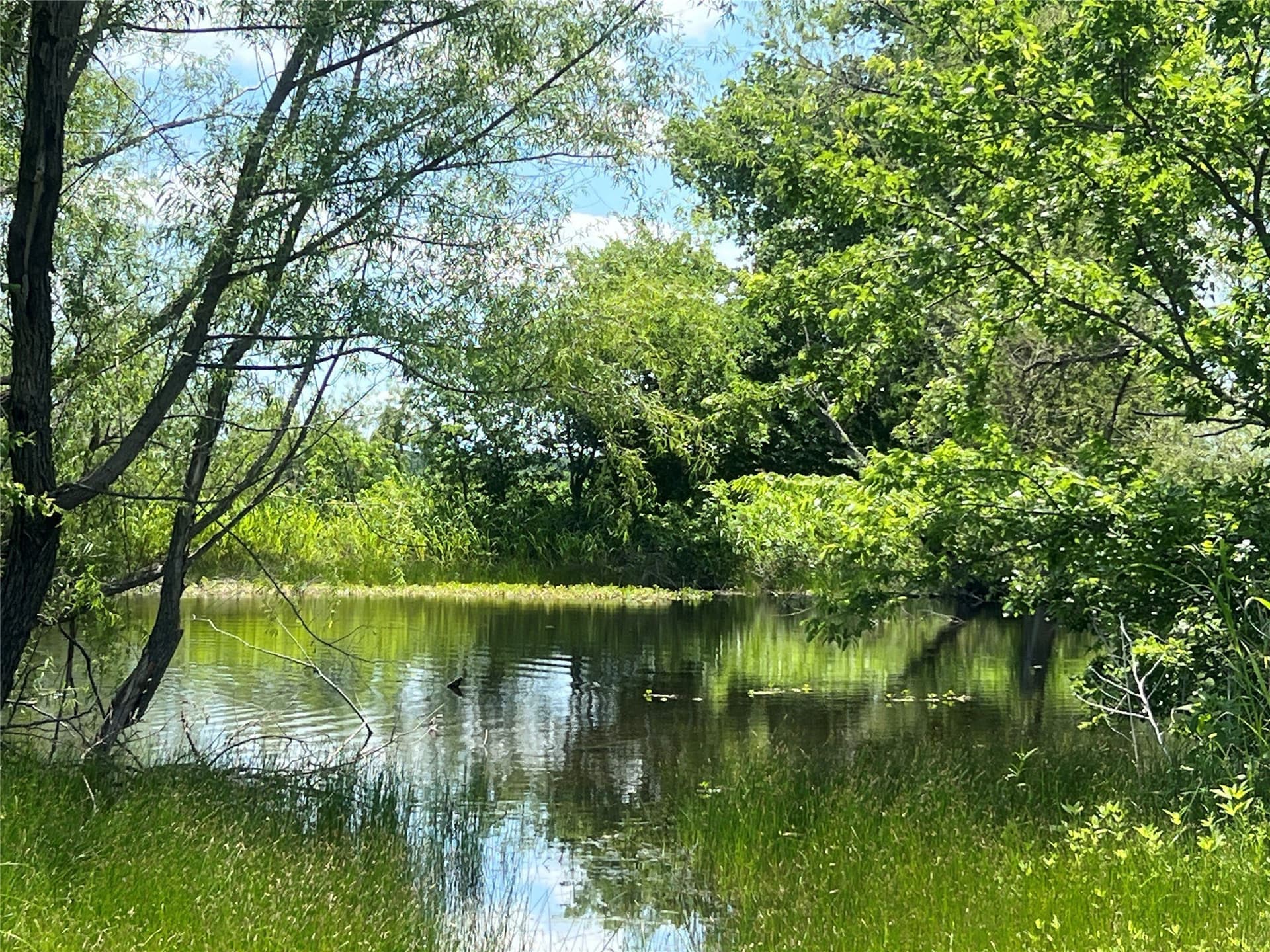 10.1 acres in Hill County - photo 18