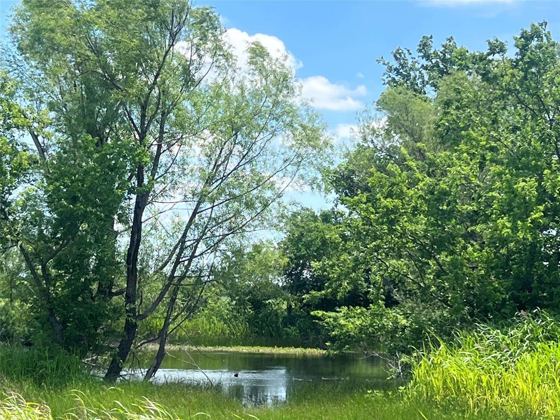 10.1 acres in Hill County - photo 7