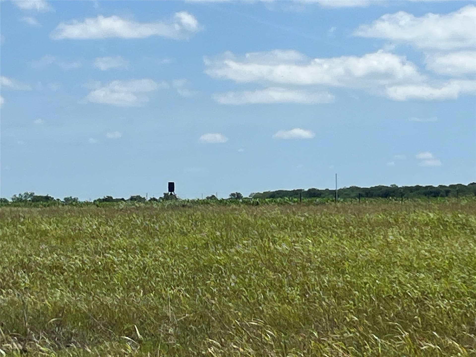 10.1 acres in Hill County - photo 9