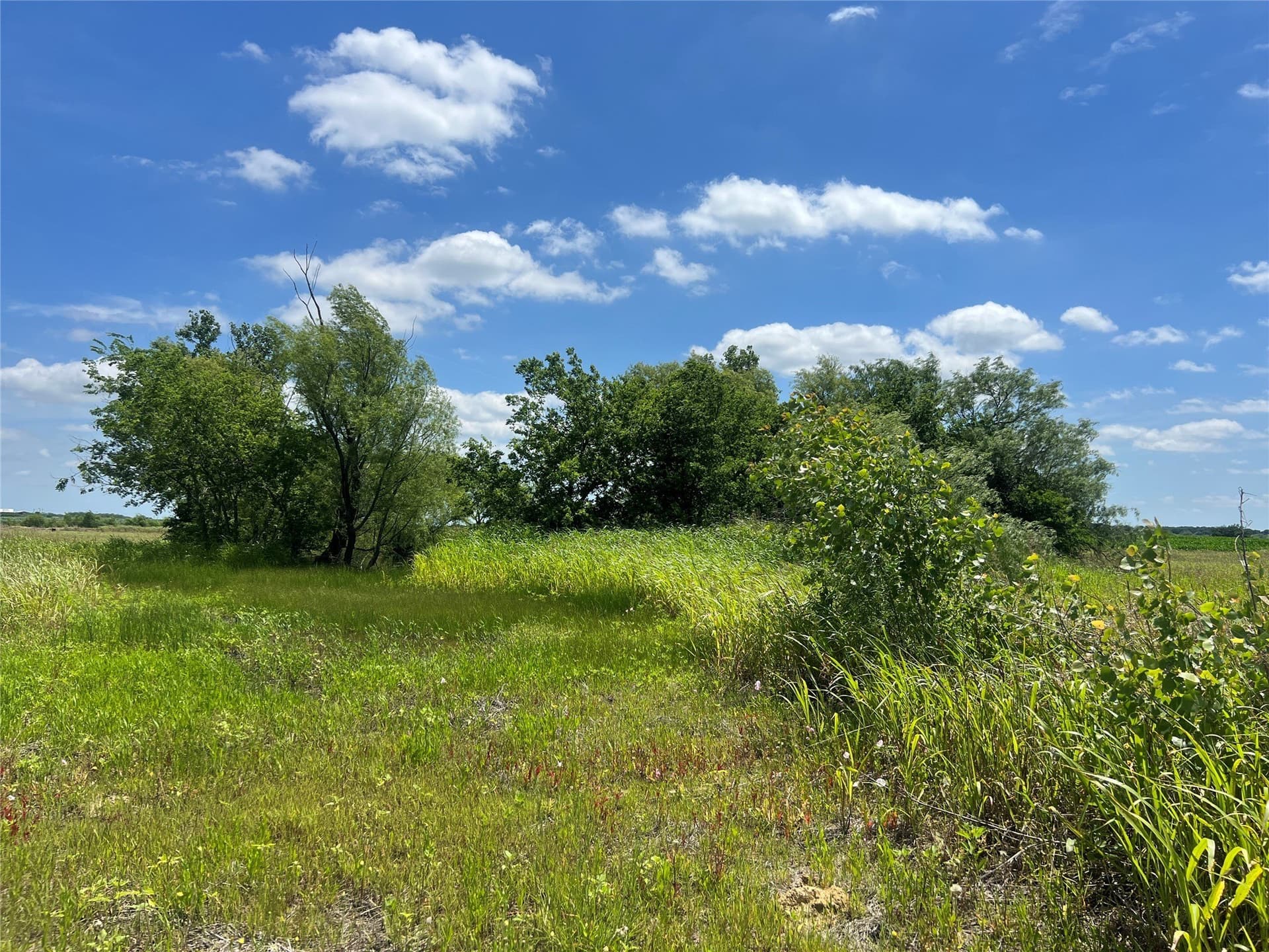 10.1 acres in Hill County - photo 19