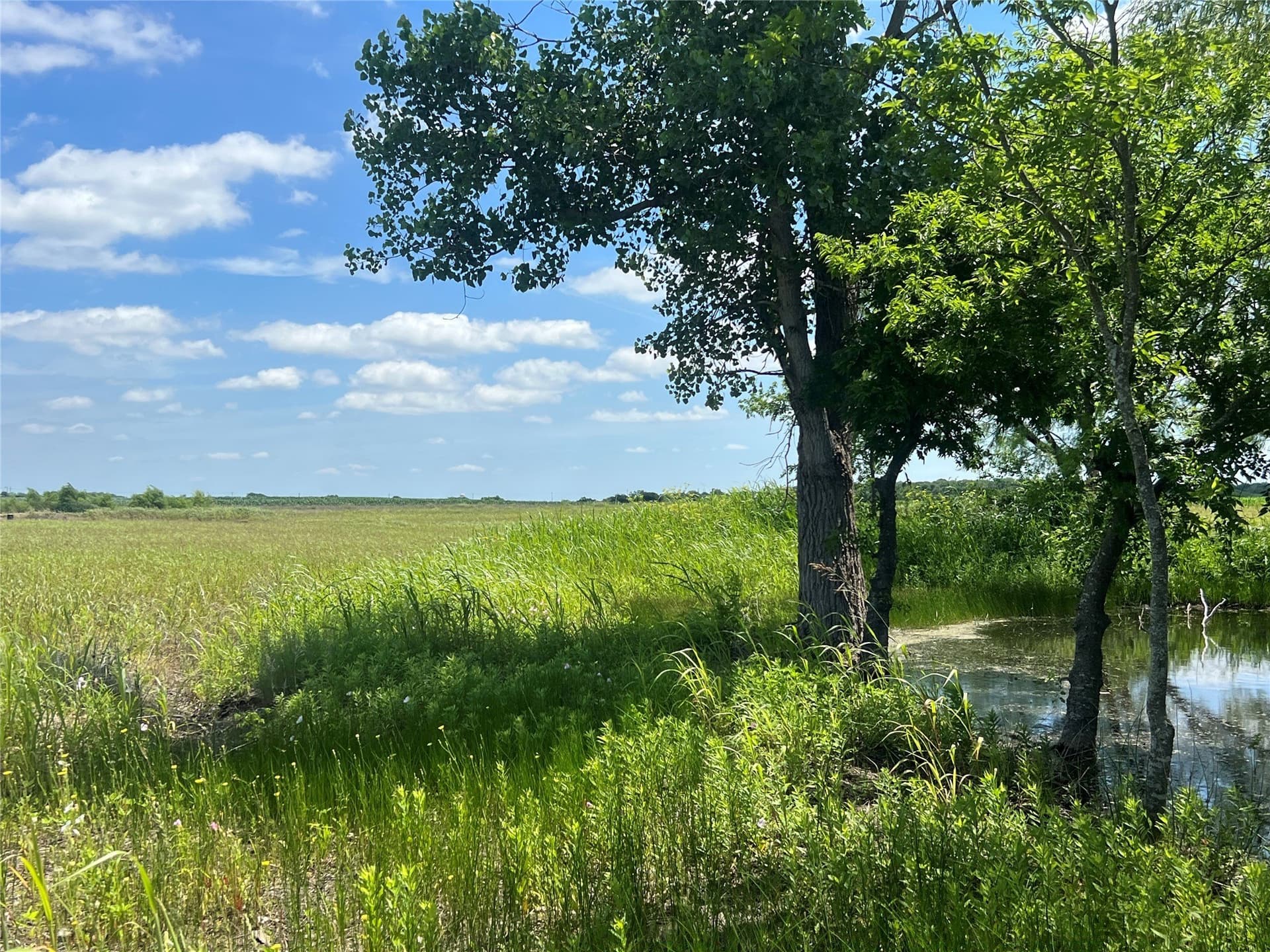 10.1 acres in Hill County - photo 15