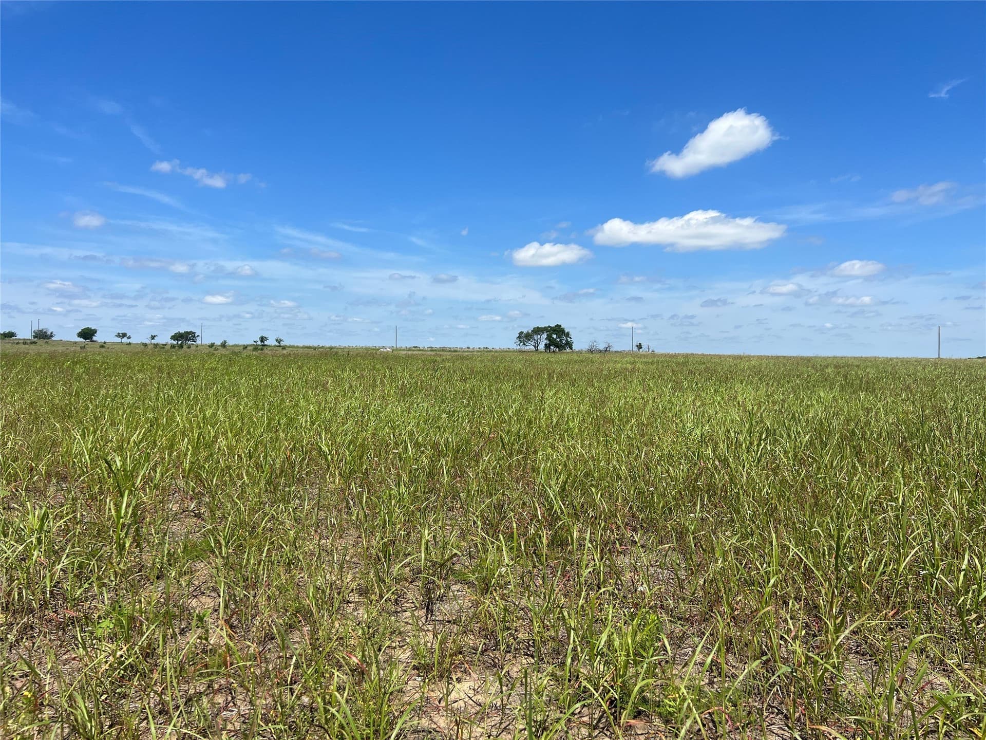 10.1 acres in Hill County - photo 13