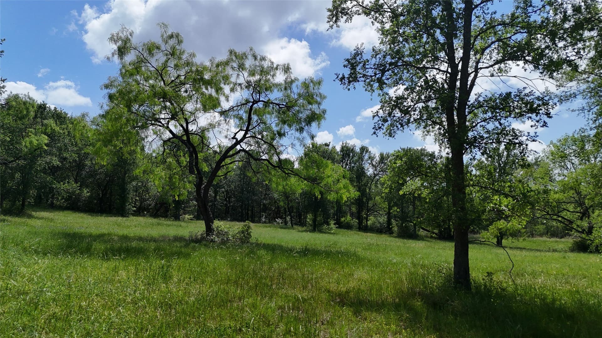 1.19 acres in Navarro County - photo 7