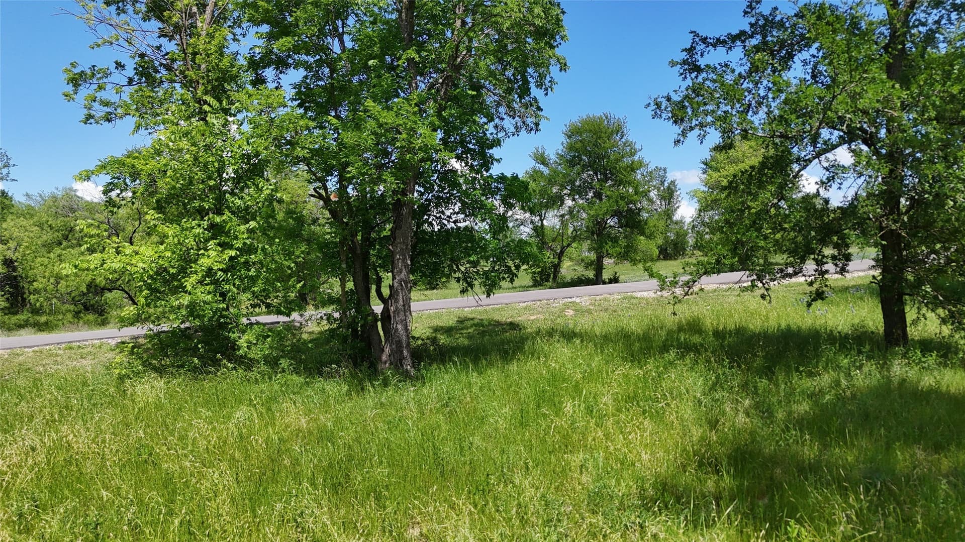 1.19 acres in Navarro County - photo 17