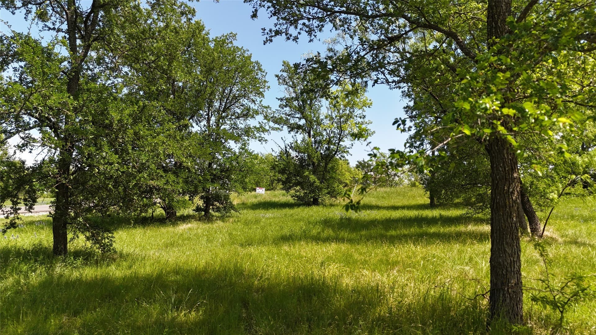 1.19 acres in Navarro County - photo 8