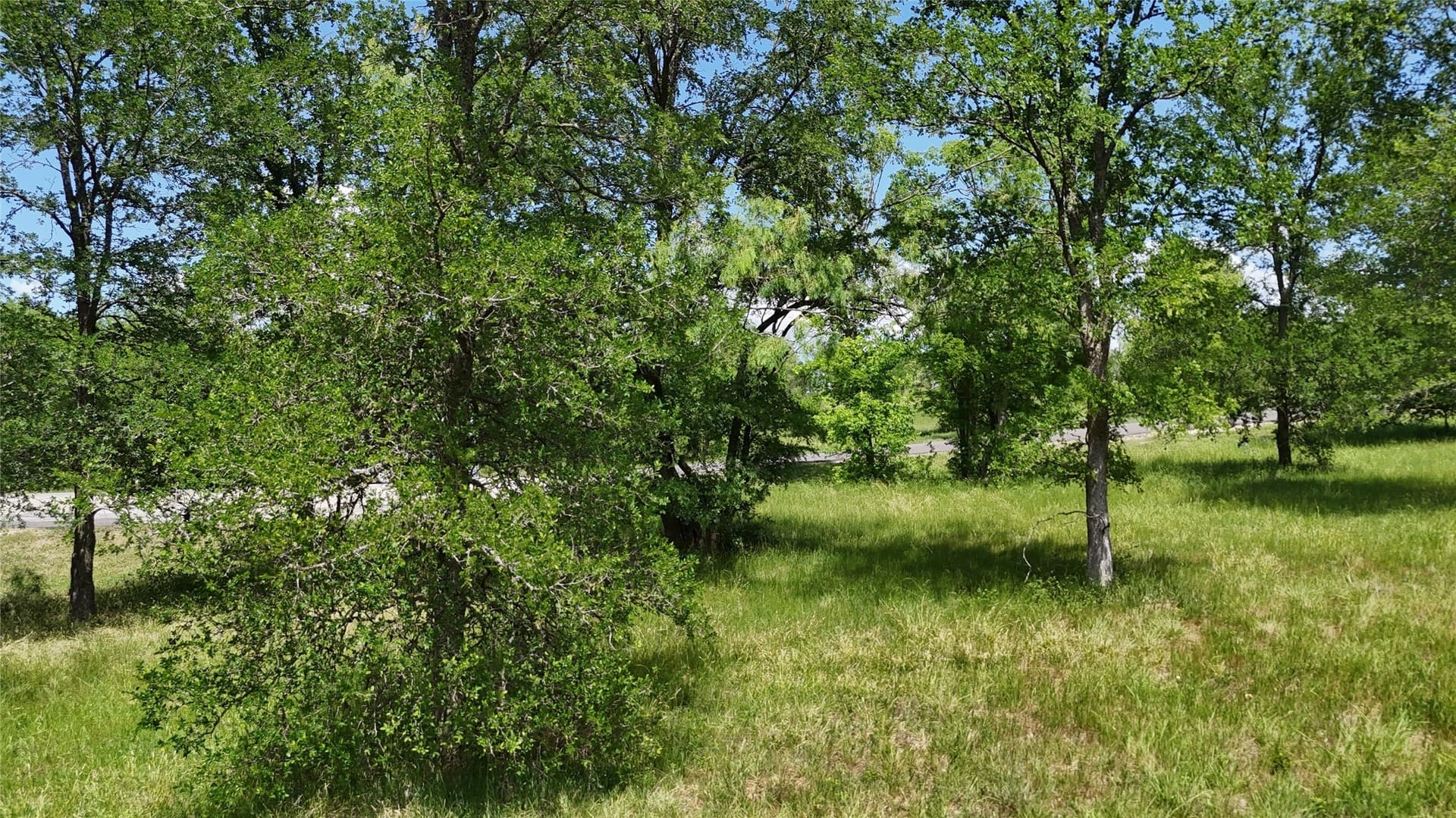 1.19 acres in Navarro County - photo 12