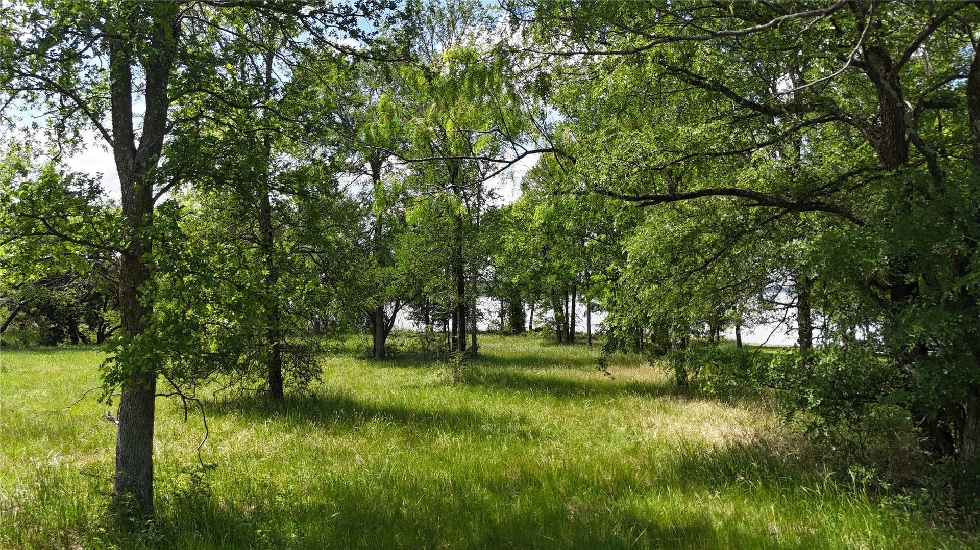 1.19 acres in Navarro County - photo 9