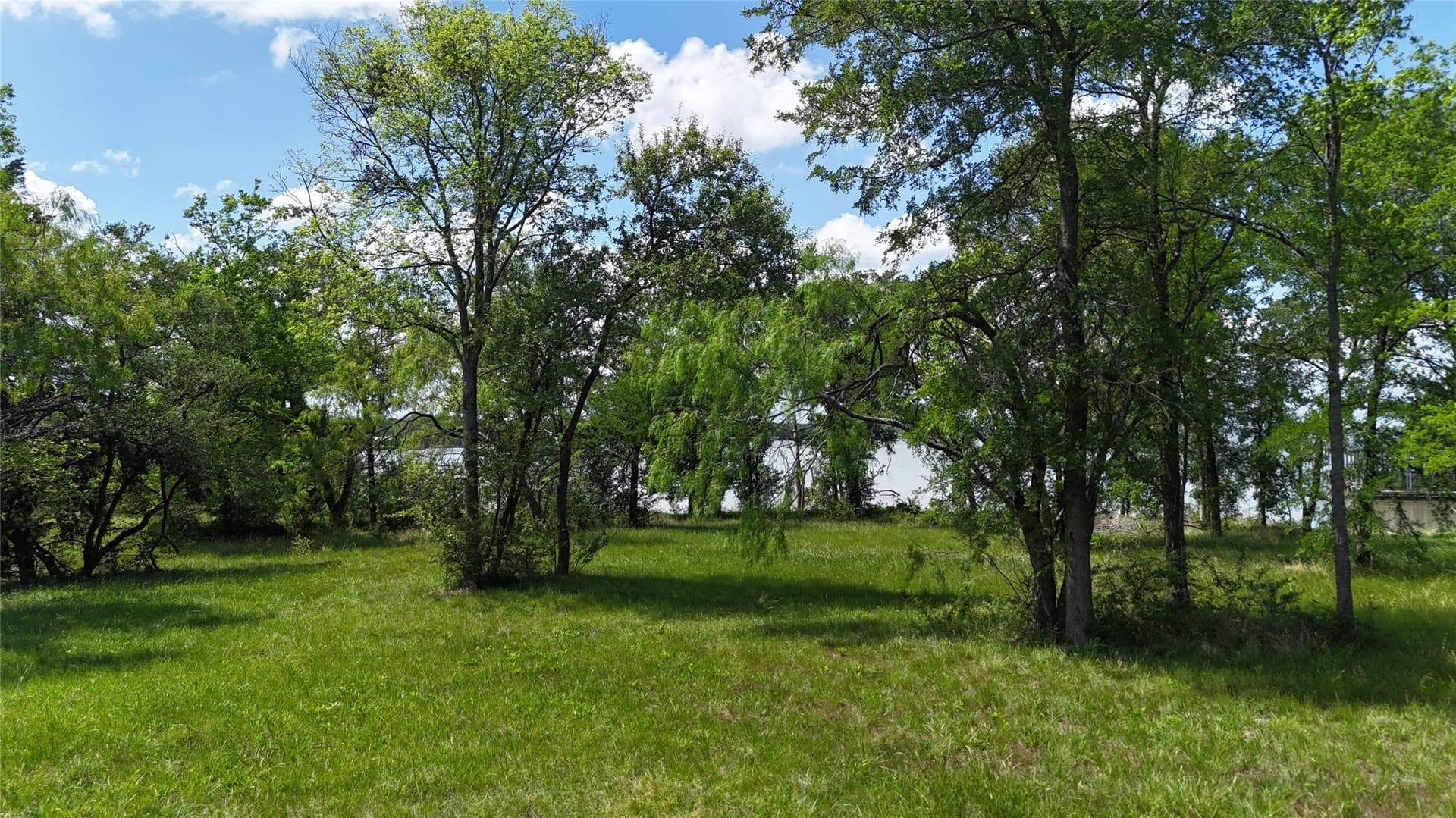 1.19 acres in Navarro County - photo 6