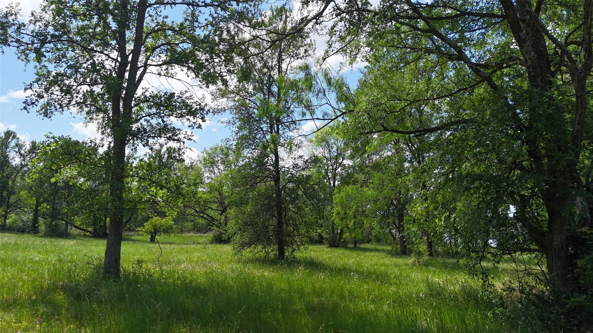1.19 acres in Navarro County - photo 14