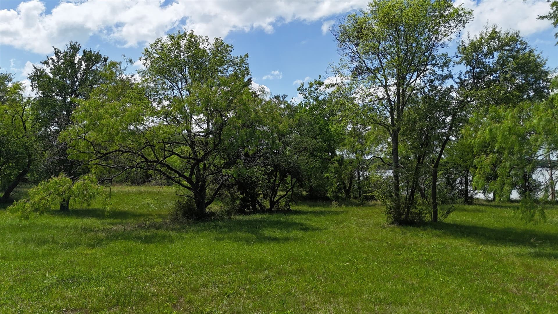 1.19 acres in Navarro County - photo 18