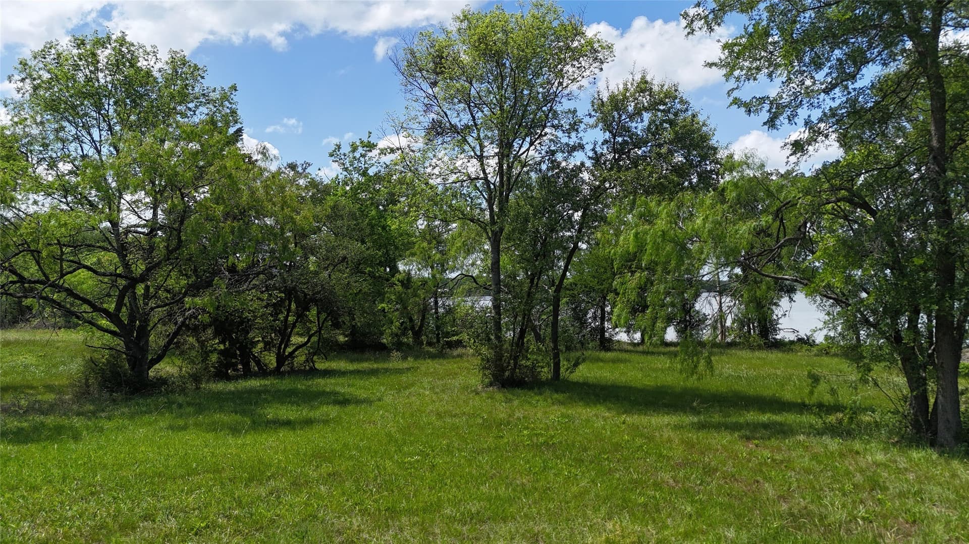 1.19 acres in Navarro County - photo 19
