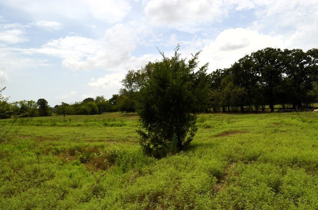 9.71 acres in Van Zandt County - photo 28