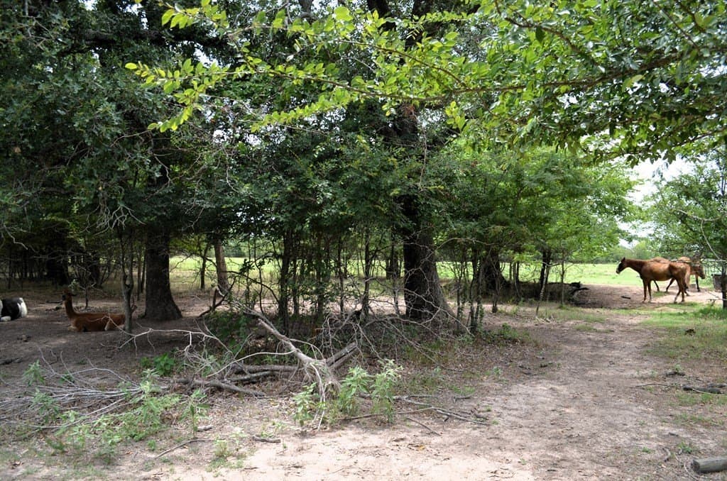 9.71 acres in Van Zandt County - photo 17