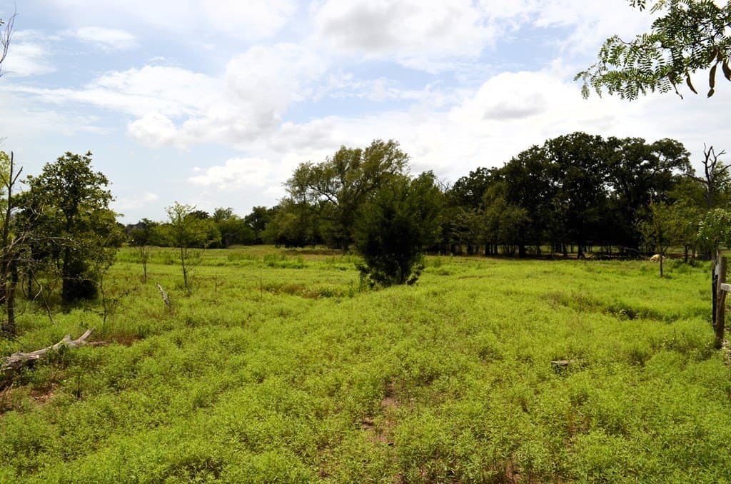 9.71 acres in Van Zandt County - photo 19