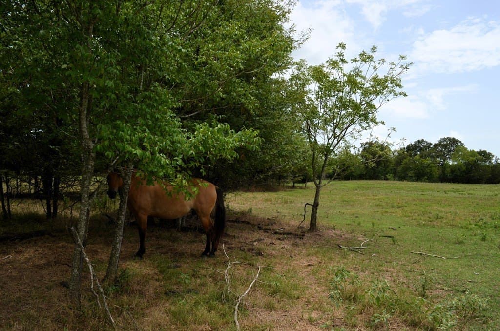 9.71 acres in Van Zandt County - photo 33