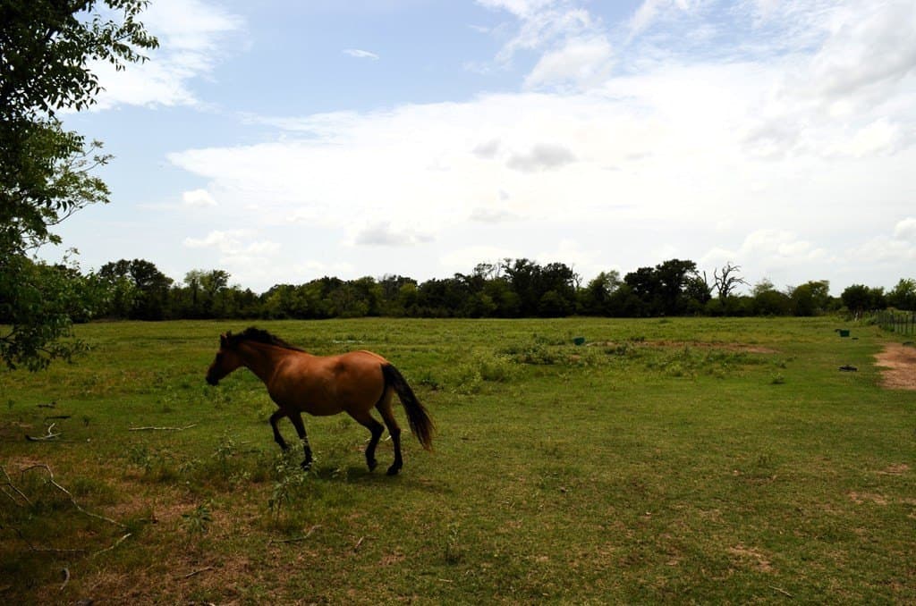 9.71 acres in Van Zandt County - photo 30