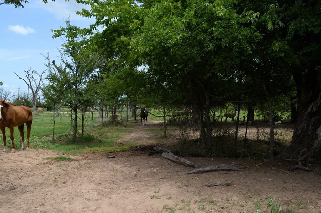 9.71 acres in Van Zandt County - photo 32