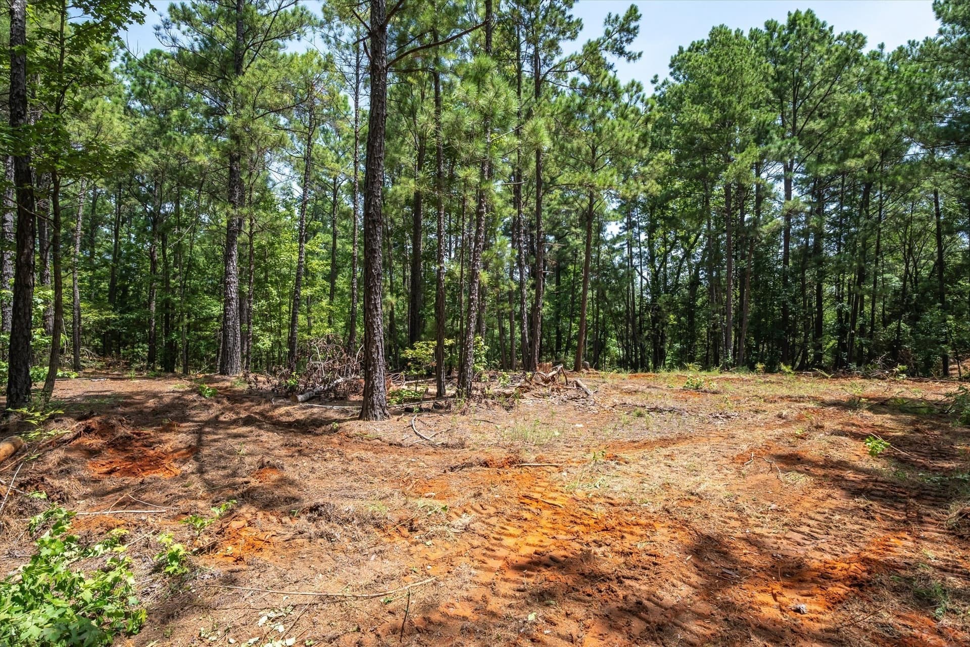15.34 acres in Cherokee County - photo 16