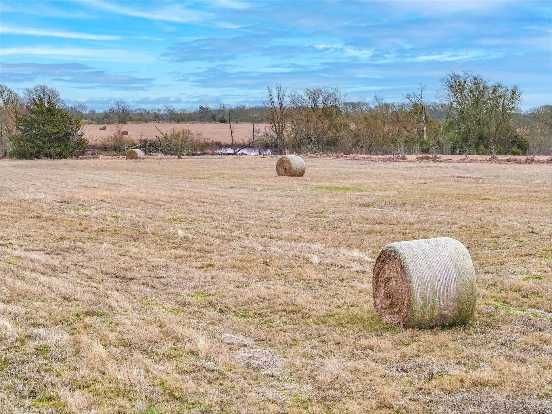 15.5 acres in Kaufman County - photo 8
