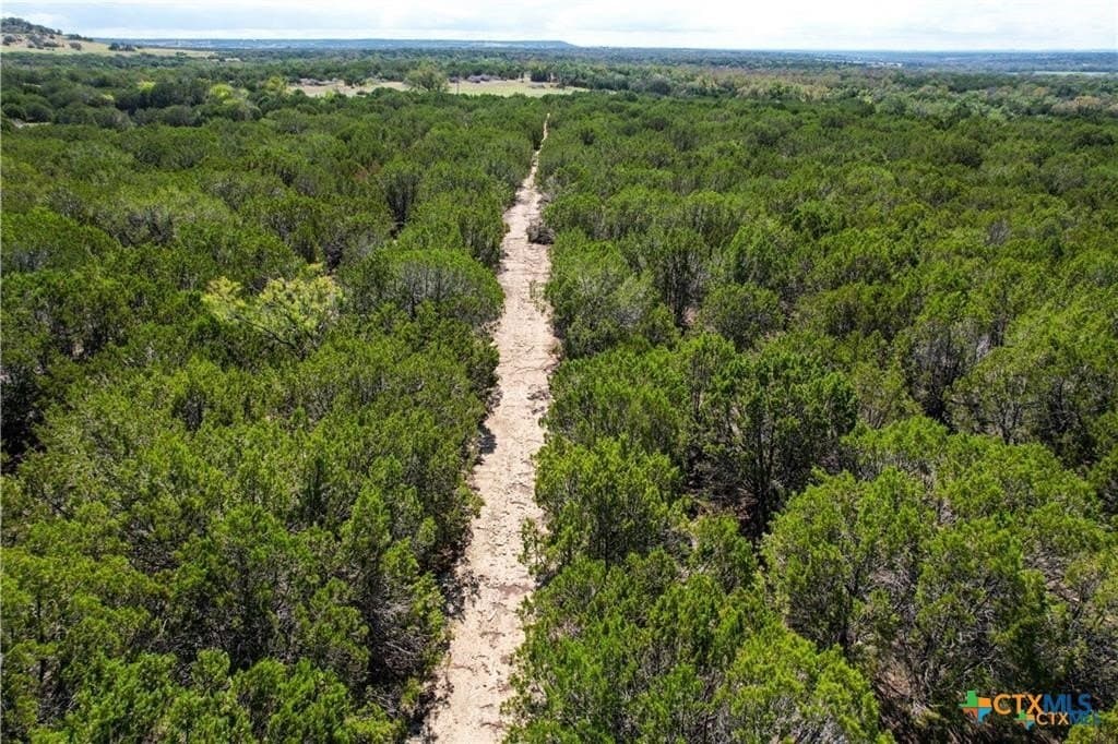 56.42 acres in Coryell County featured view