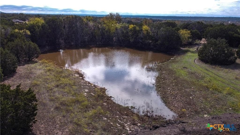 56.42 acres in Coryell County gallery image 4