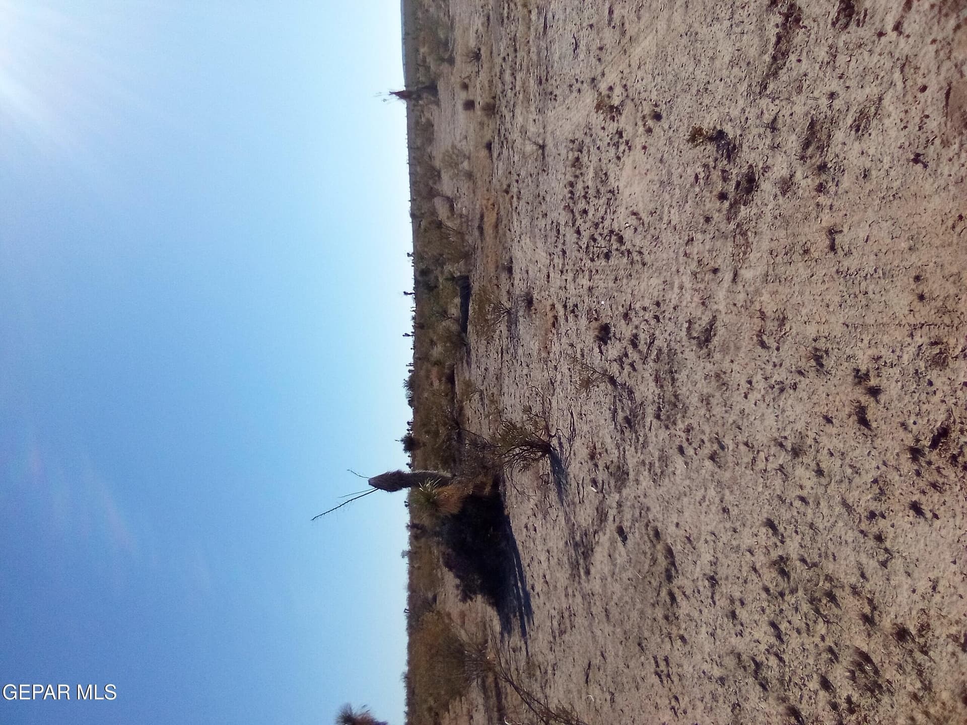 20 acres in Hudspeth County featured view