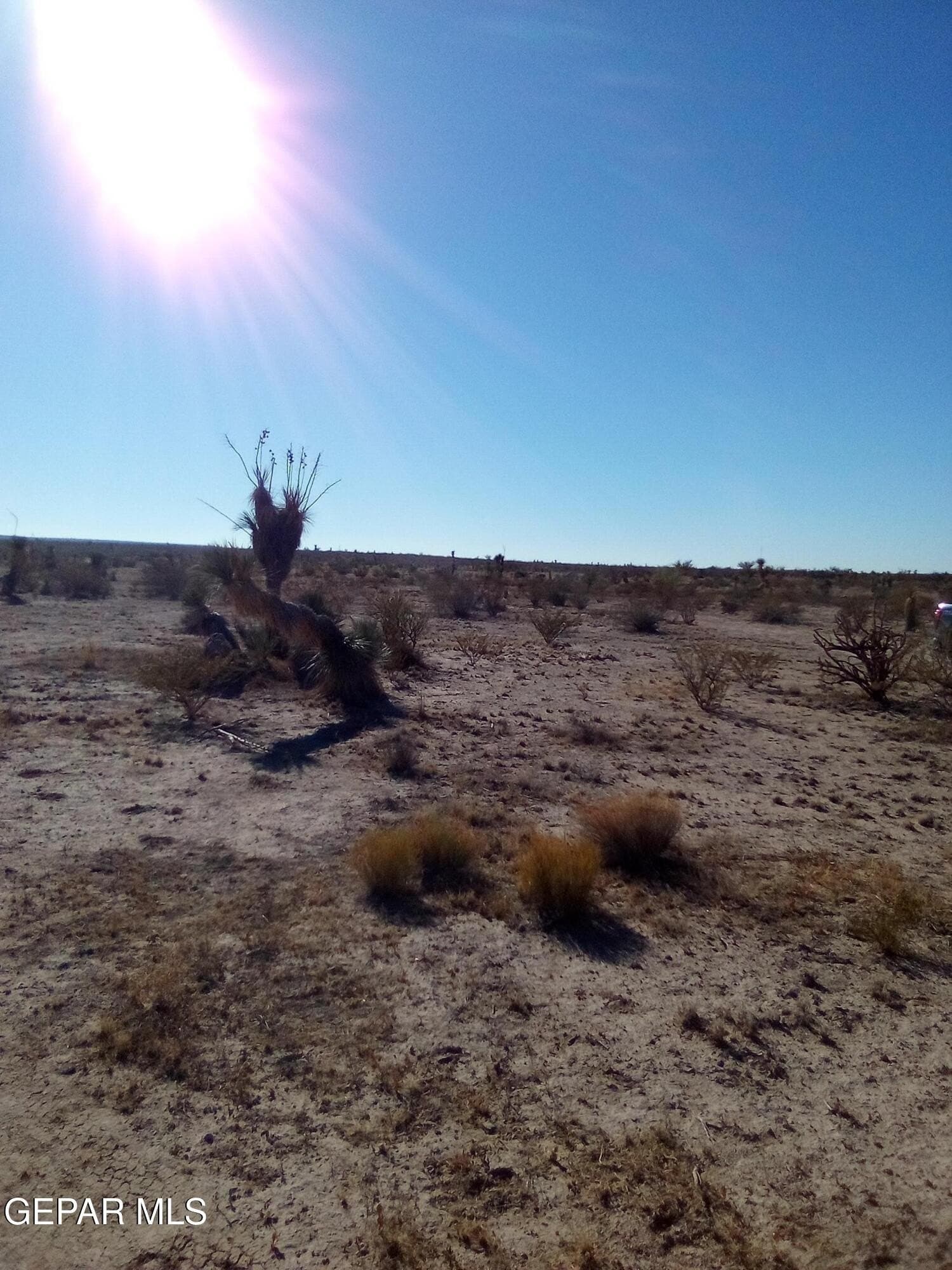 20 acres in Hudspeth County gallery image 2