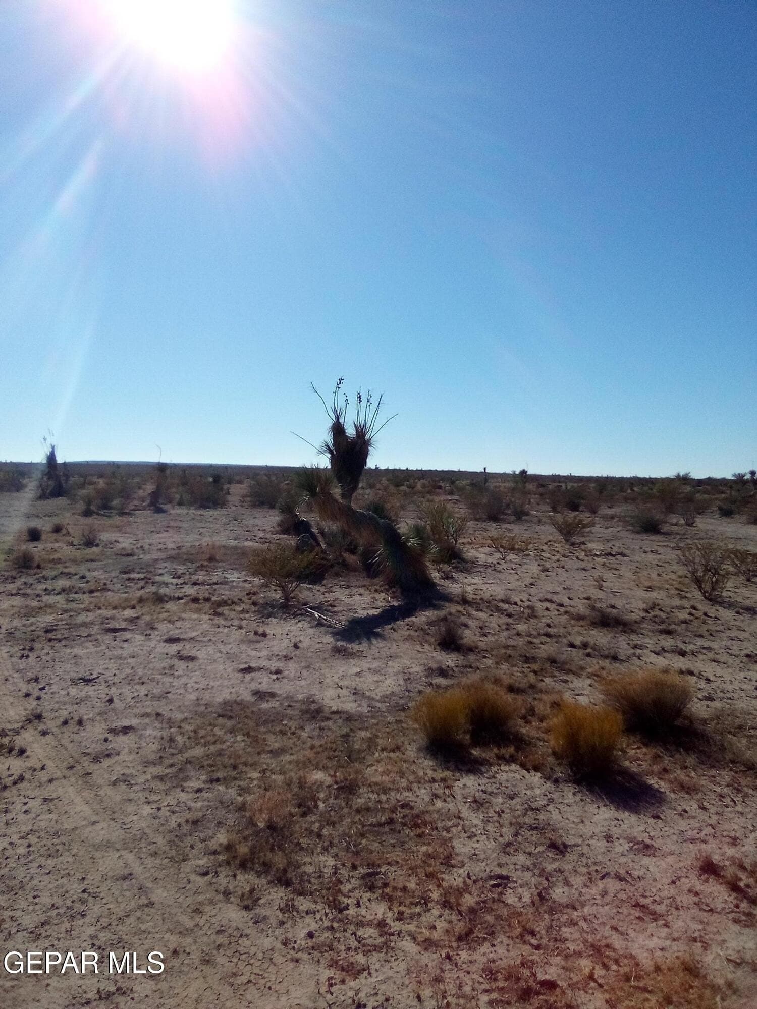 20 acres in Hudspeth County gallery image 3