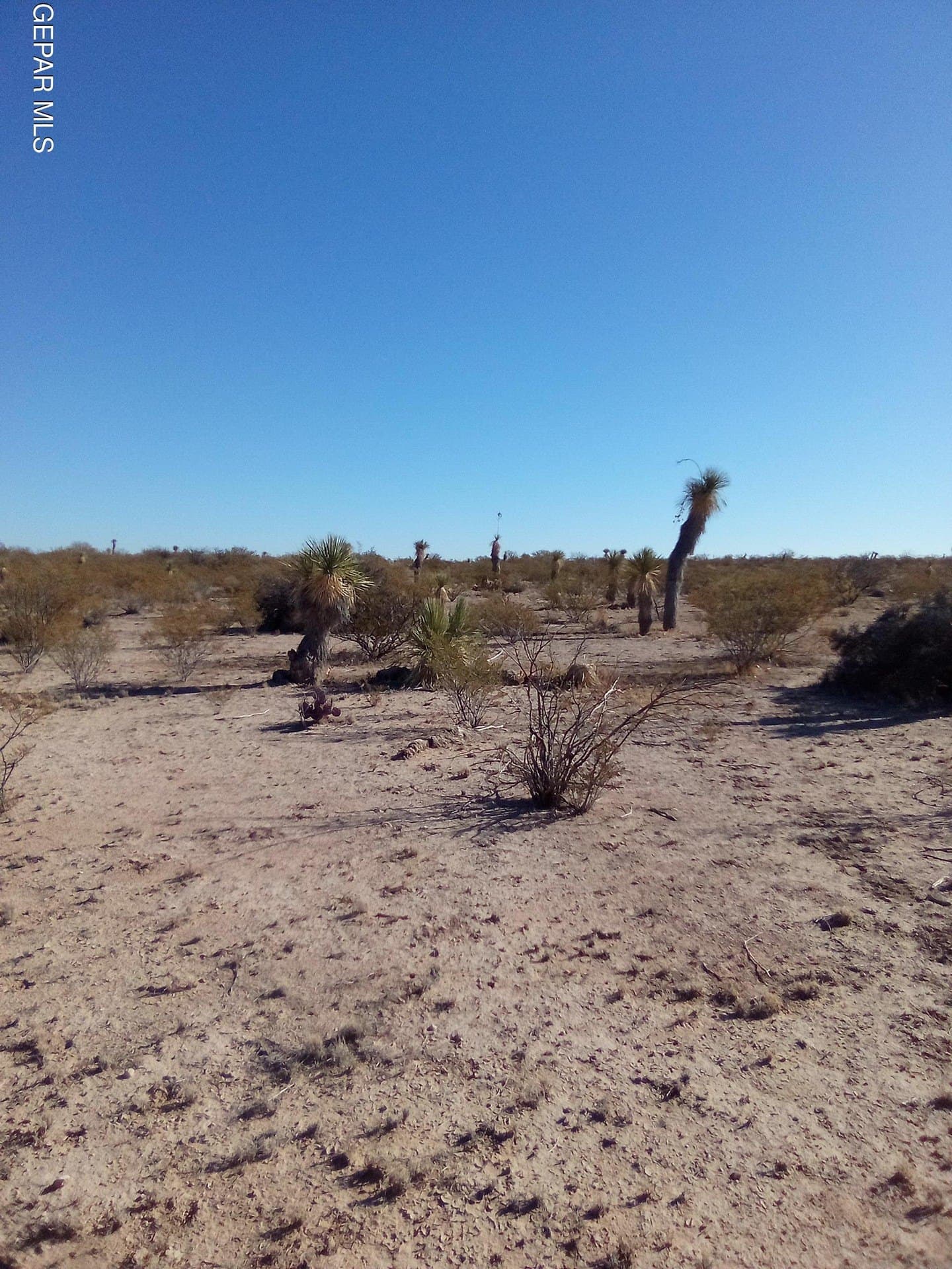 20 acres in Hudspeth County