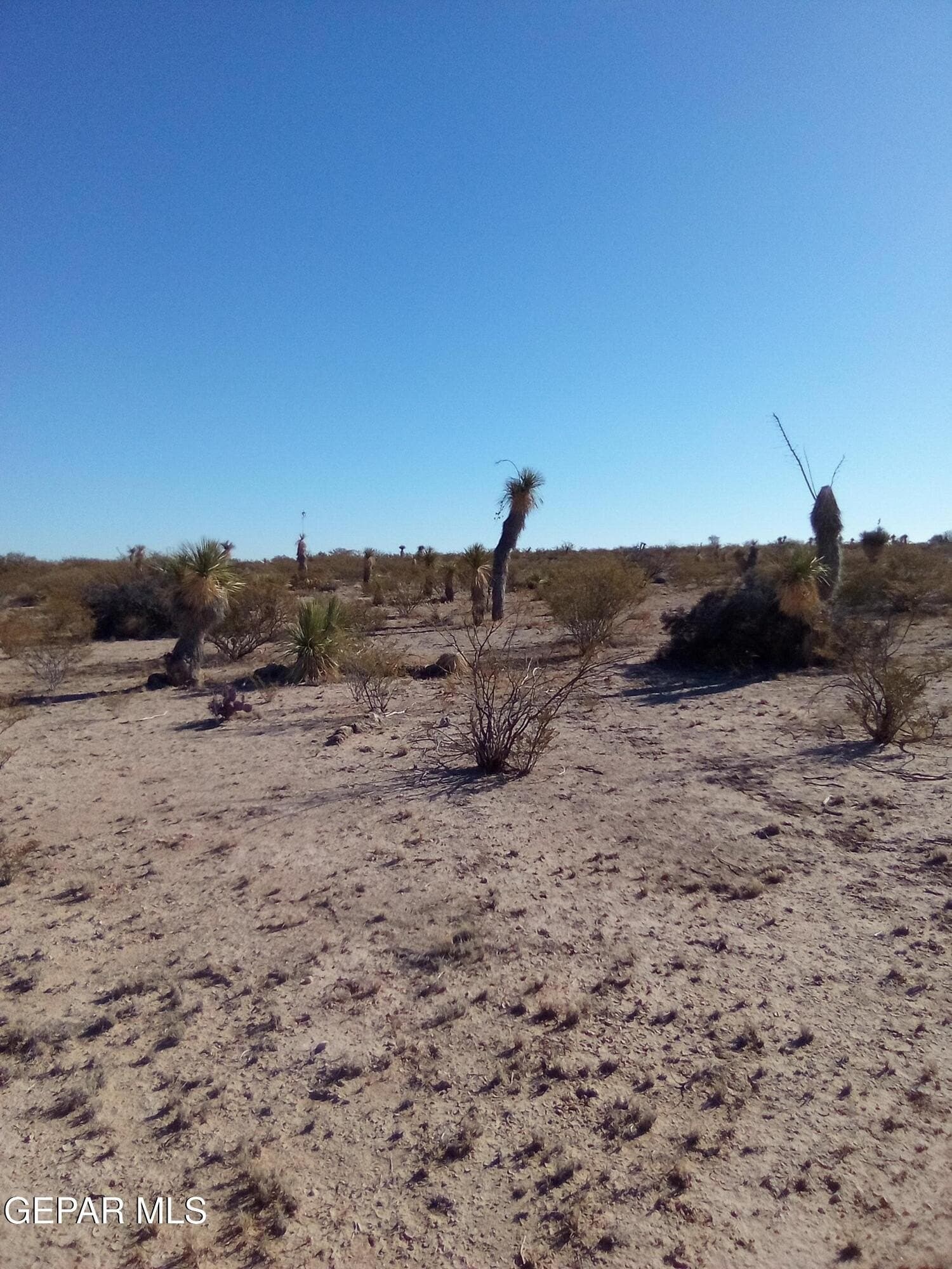 20 acres in Hudspeth County gallery image 4