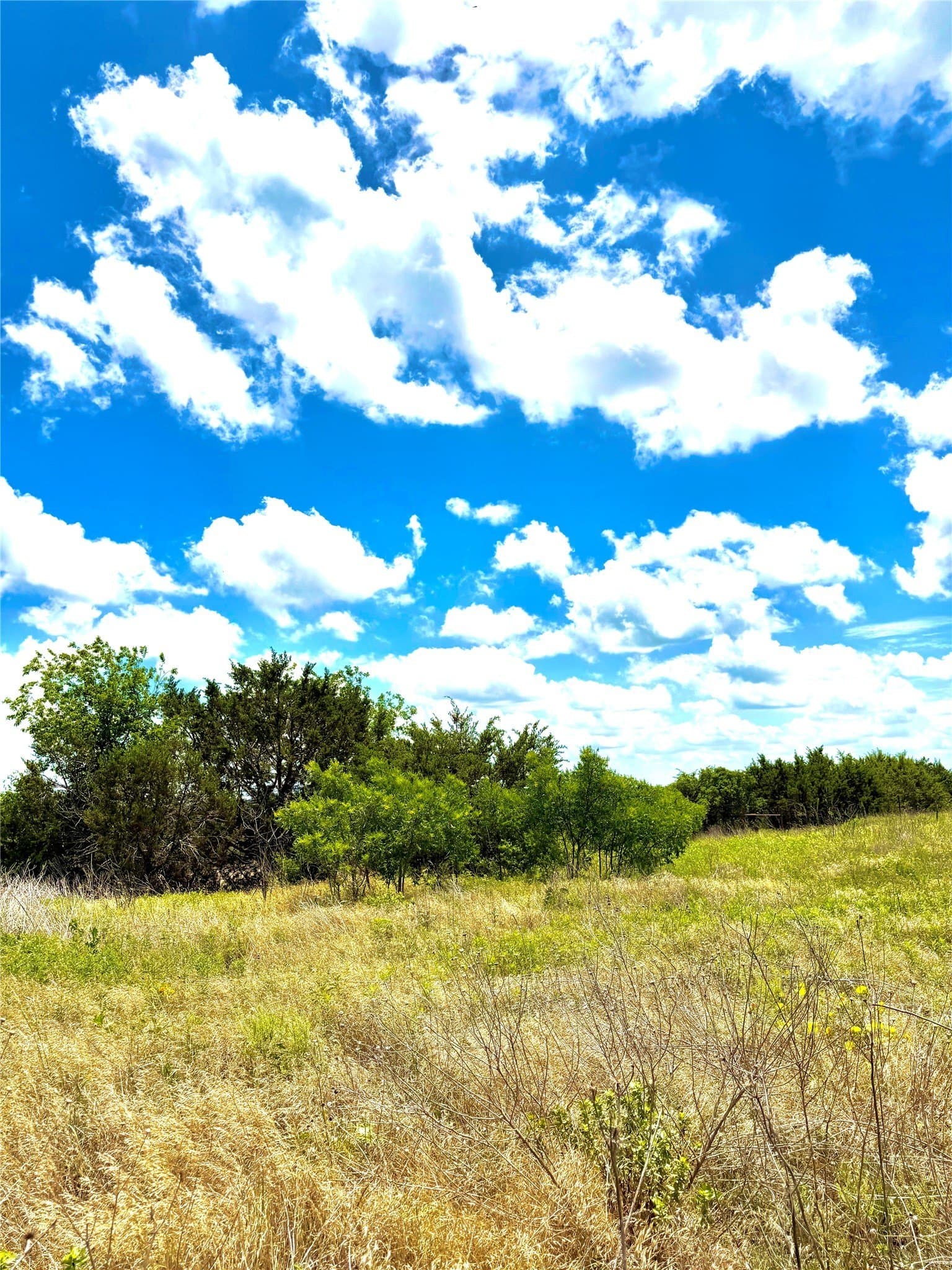 2.18 acres in Erath County - photo 2