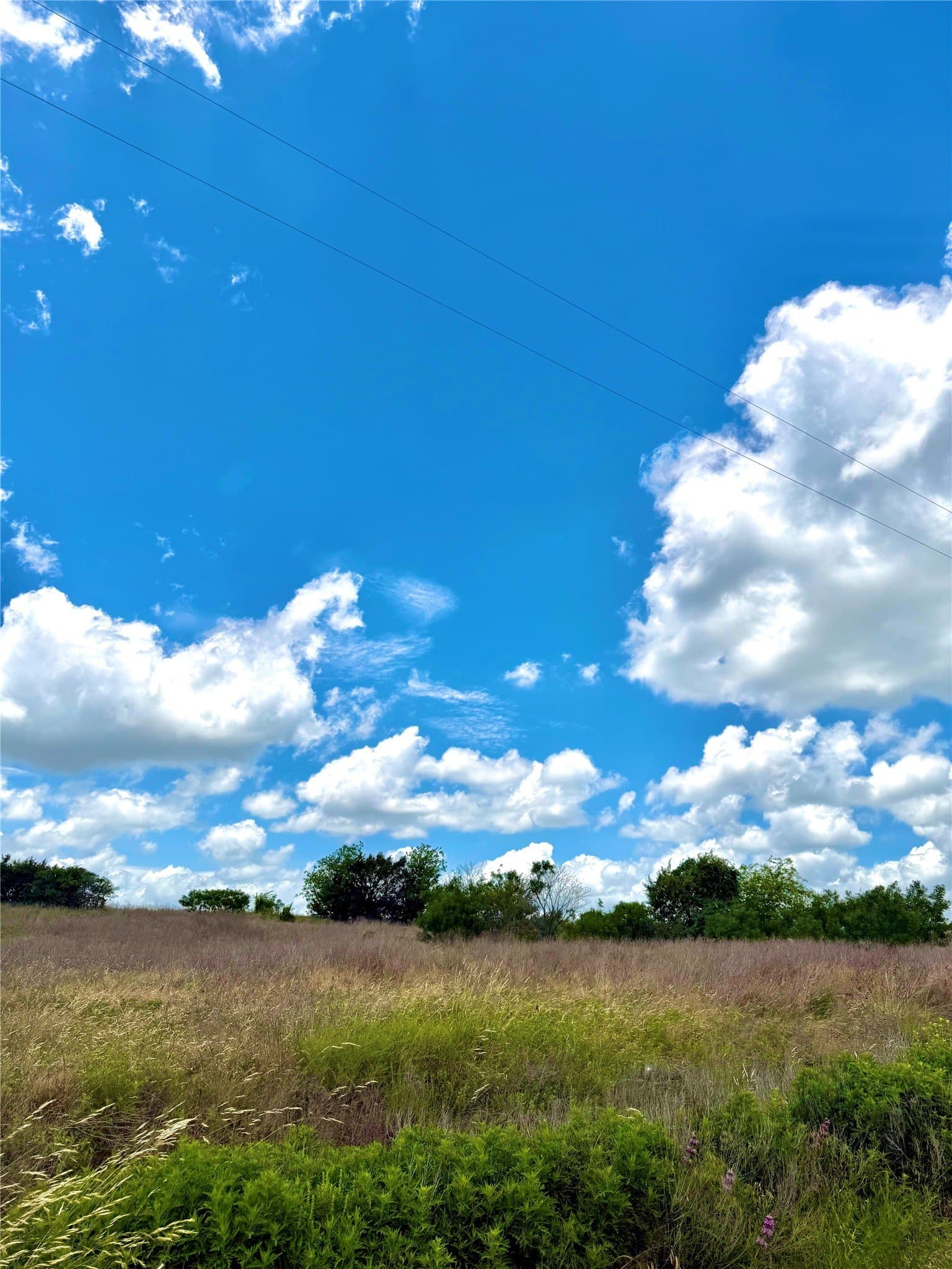 2.18 acres in Erath County - photo 4
