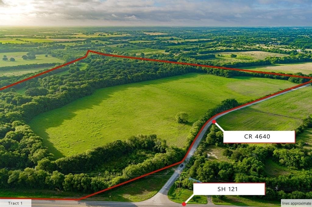 88.16 acres in Fannin County gallery image 2