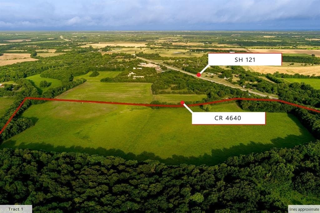 88.16 acres in Fannin County featured view