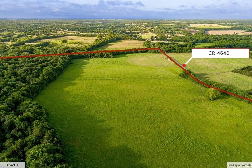 88.16 acres in Fannin County gallery image 3