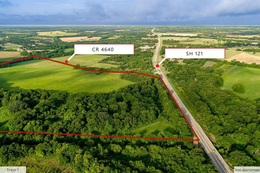 88.16 acres in Fannin County gallery image 4