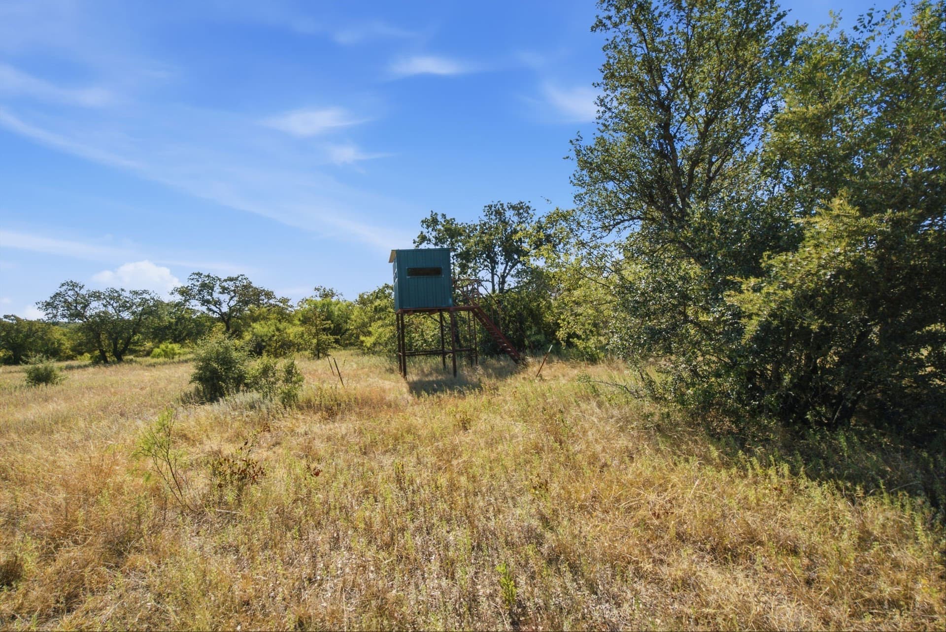 318.82 acres in Young County - photo 16