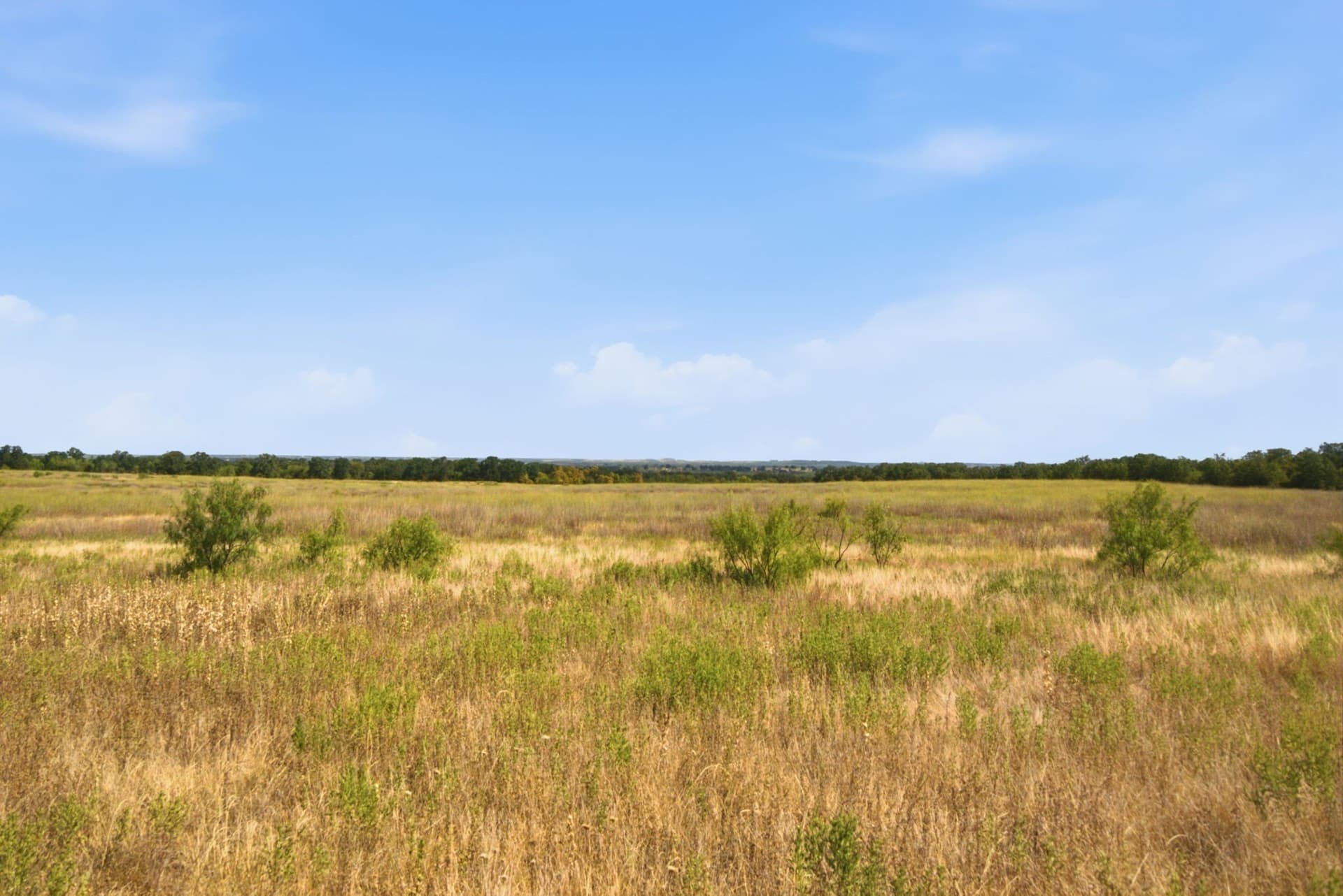 318.82 acres in Young County - photo 25