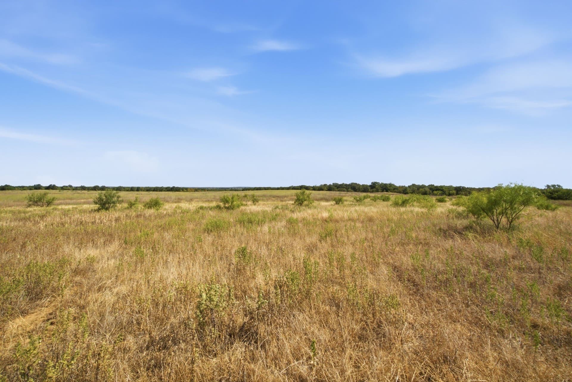 318.82 acres in Young County - photo 26