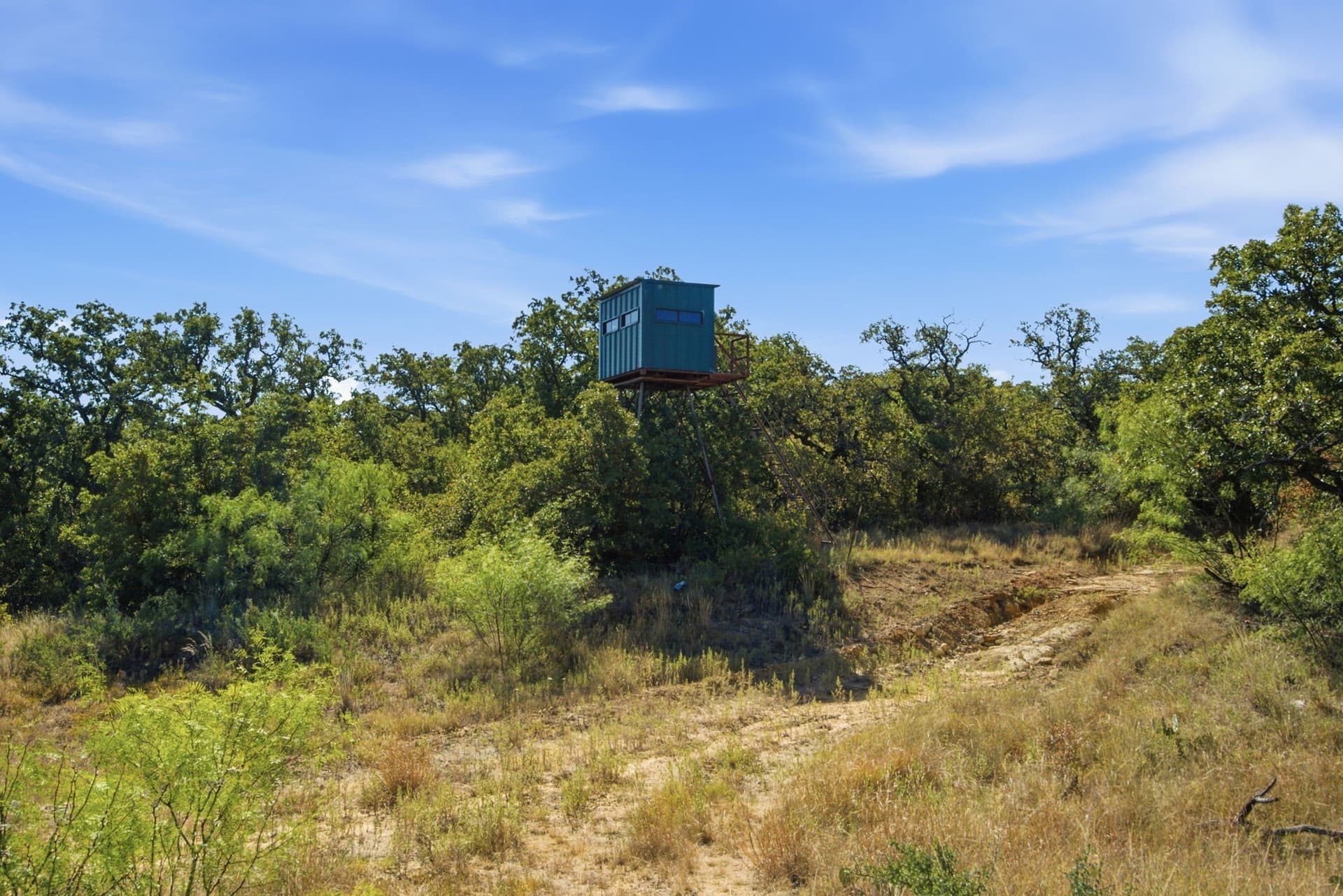 318.82 acres in Young County - photo 22