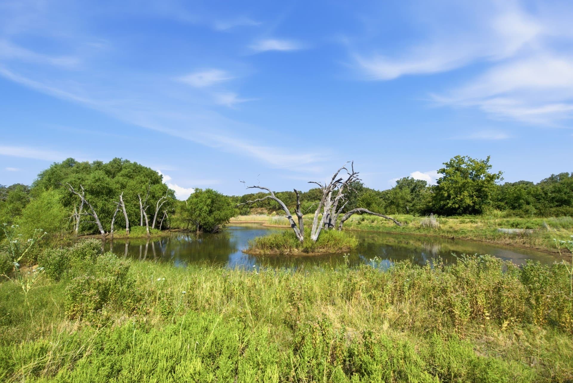 318.82 acres in Young County - photo 31