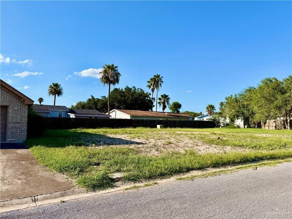 0.1 acres in Hidalgo County gallery image 3