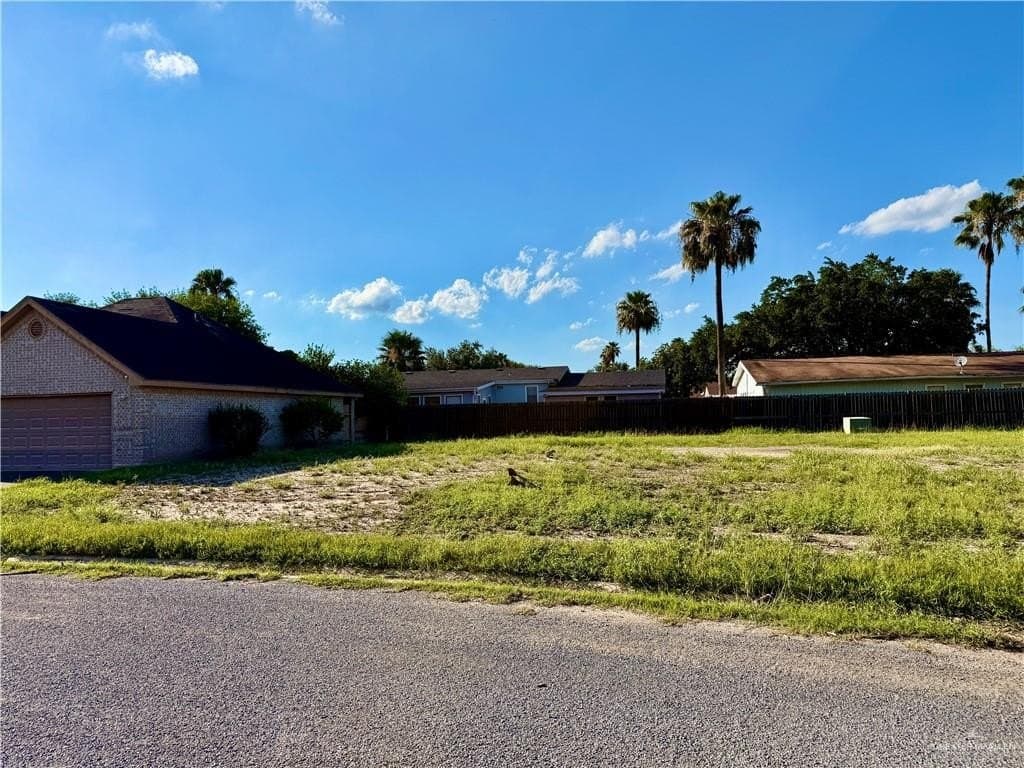 0.1 acres in Hidalgo County gallery image 2