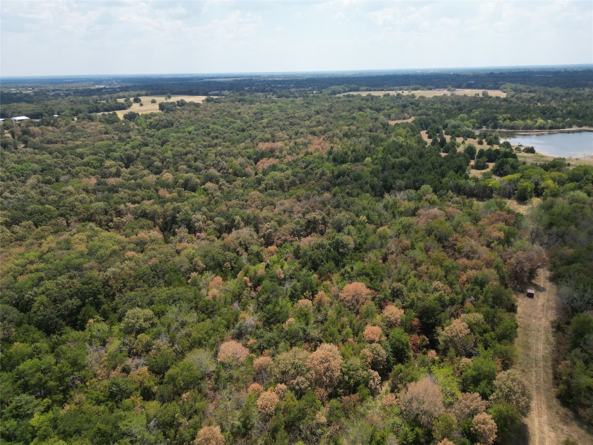 25 acres in Hunt County - photo 6
