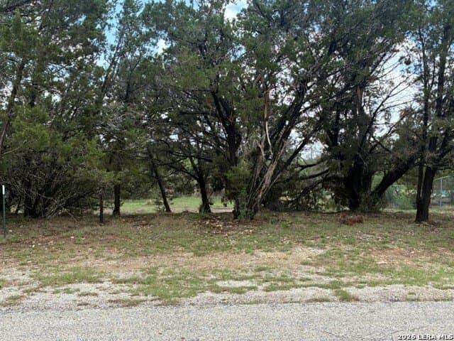 0.17 acres in Comal County gallery image 2