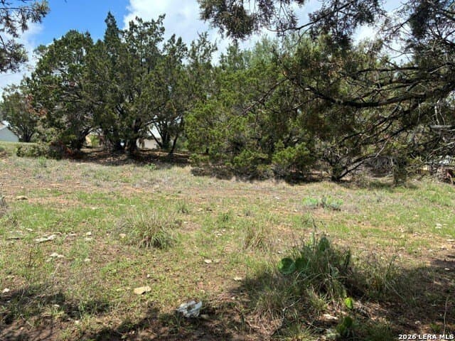 0.17 acres in Comal County gallery image 4