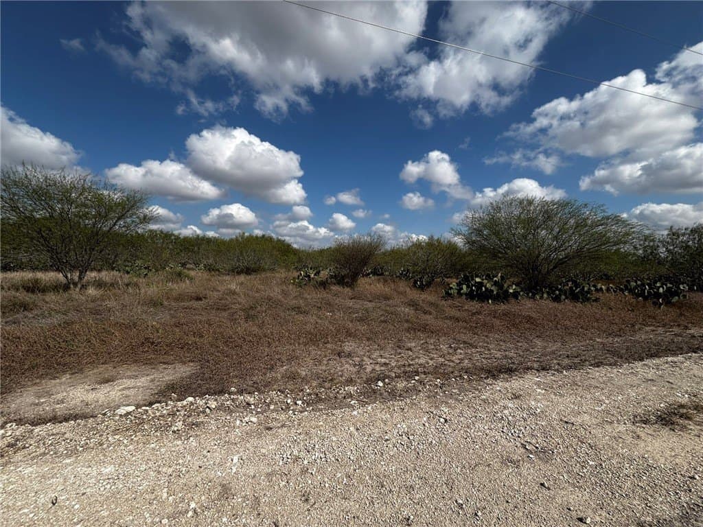 10.98 acres in Jim Wells County gallery image 2