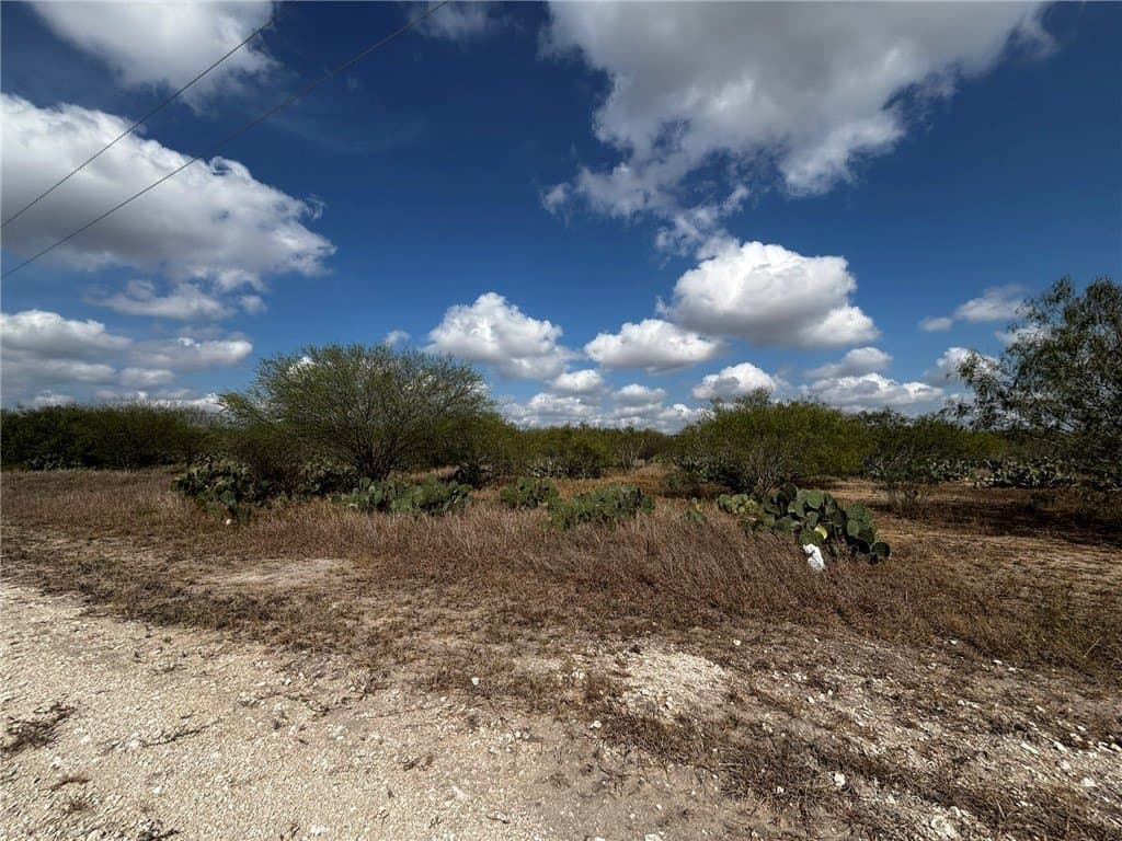 10.98 acres in Jim Wells County gallery image 4