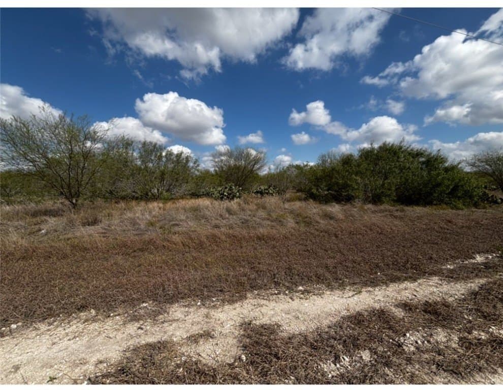 10.98 acres in Jim Wells County gallery image 3