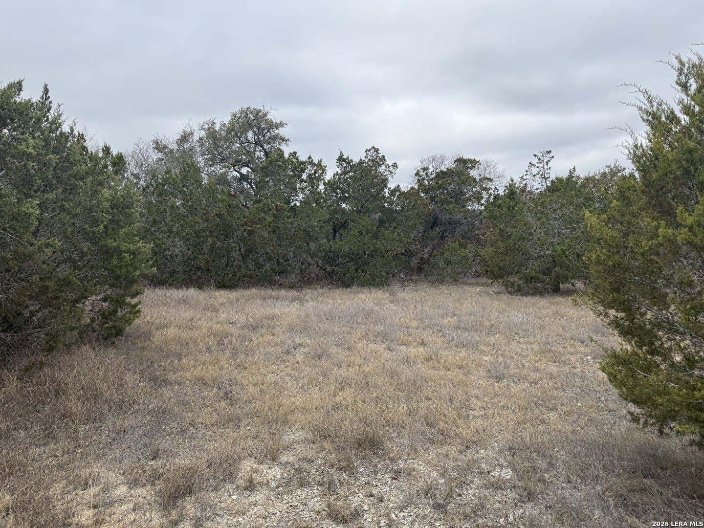 0.17 acres in Blanco County - photo 6